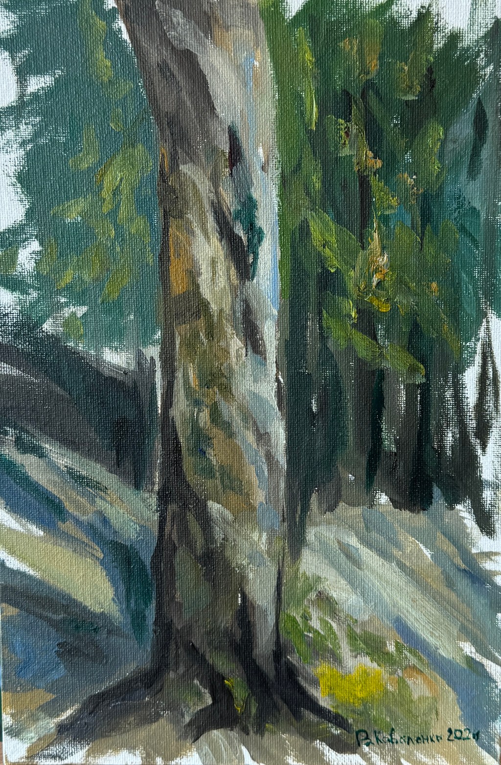 Study: Tree Bark at&nbsp;Dawn