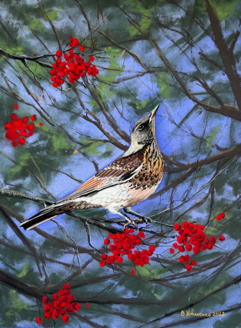 Bird on a Rowan&nbsp;Tree