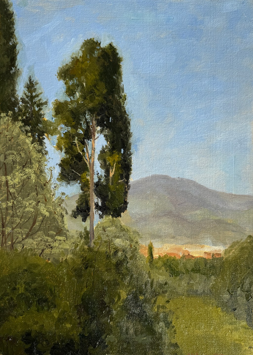 Plein Air in Florence